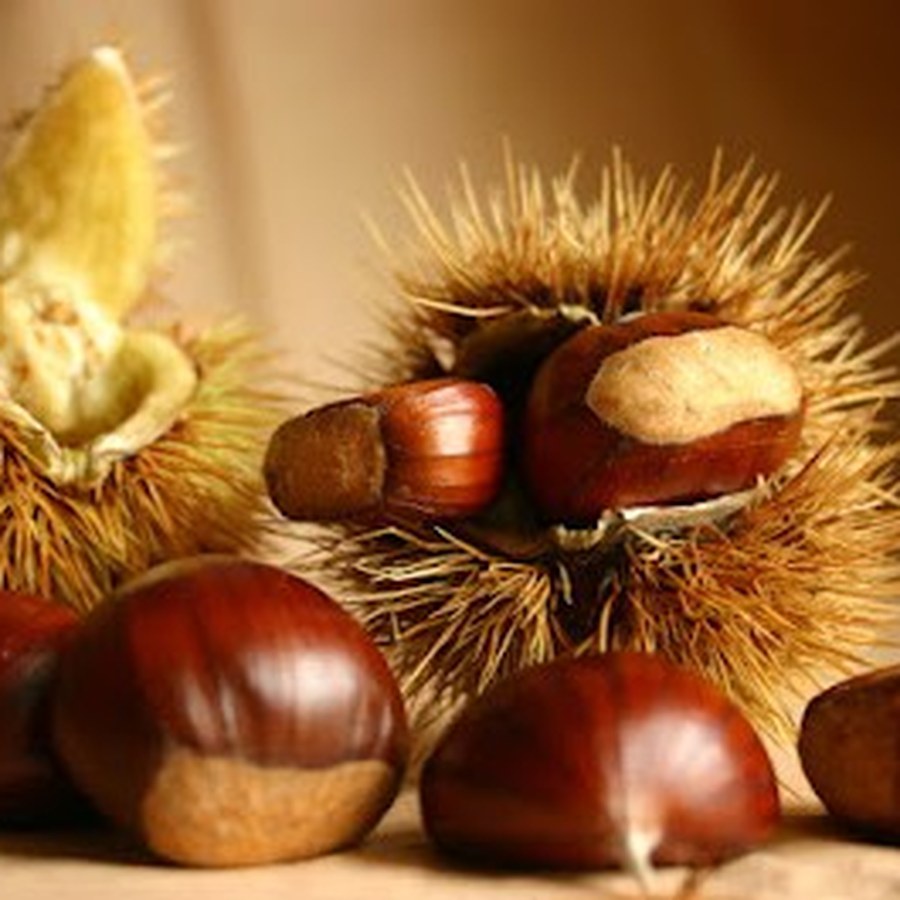 Farina e Castagne