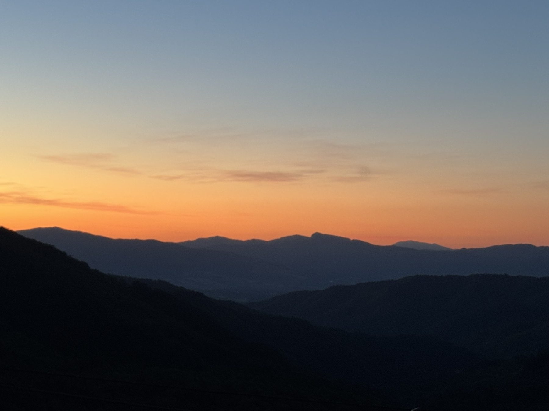 Favo pieno di api con vista sulla valle